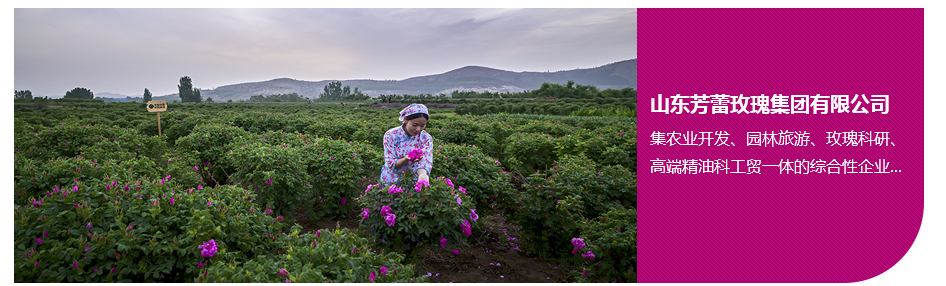 公司简介(图1) 2.jpg