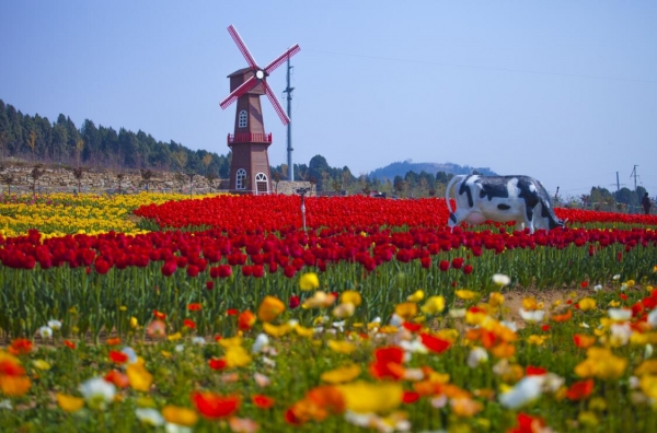 网红打卡基地 | 何必羡慕远方，在芳蕾玫瑰花乡承包你的整个春天